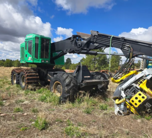 Timberpro 630B with Kesla 30 head for sale