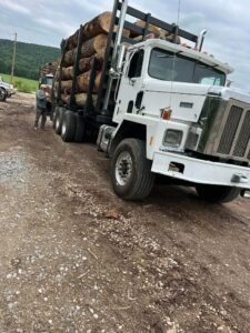 International Log Truck for sale
