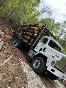International Log Truck for sale