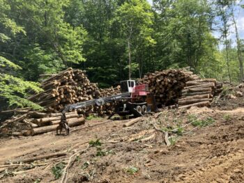 loader