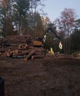 Cat 559B Log Loader