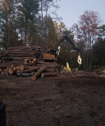 loader