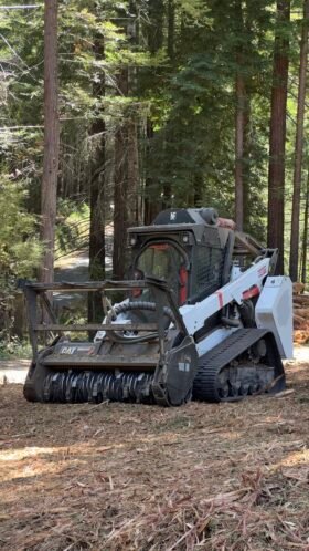 Cat 299D3