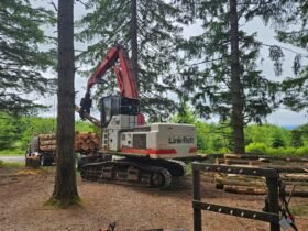 Linkbelt 4040 Tracked Loader